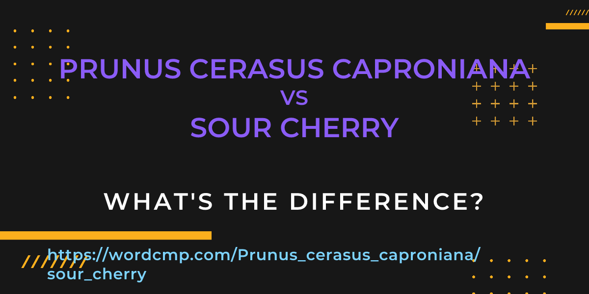 Difference between Prunus cerasus caproniana and sour cherry