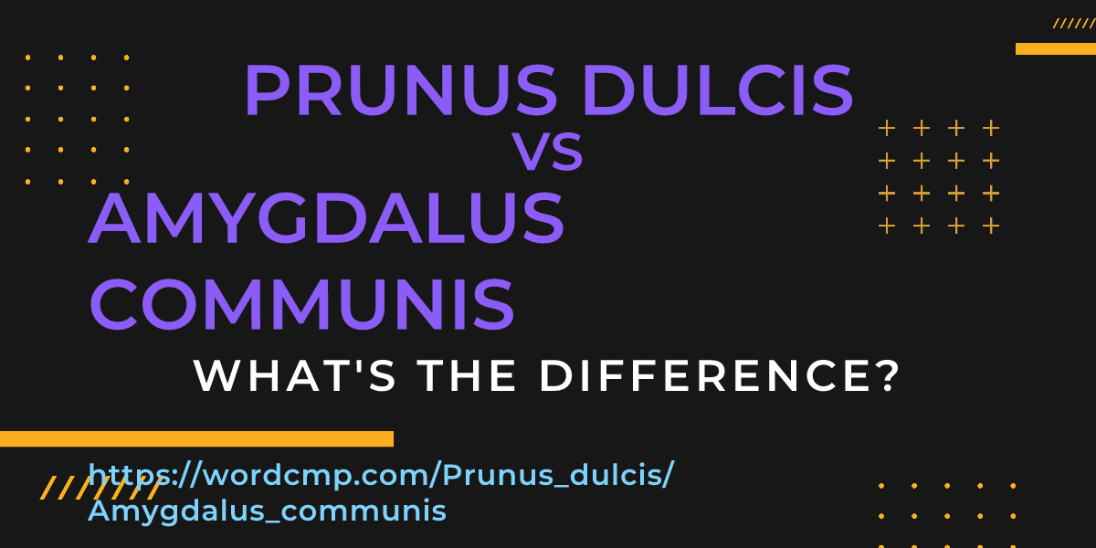 Difference between Prunus dulcis and Amygdalus communis