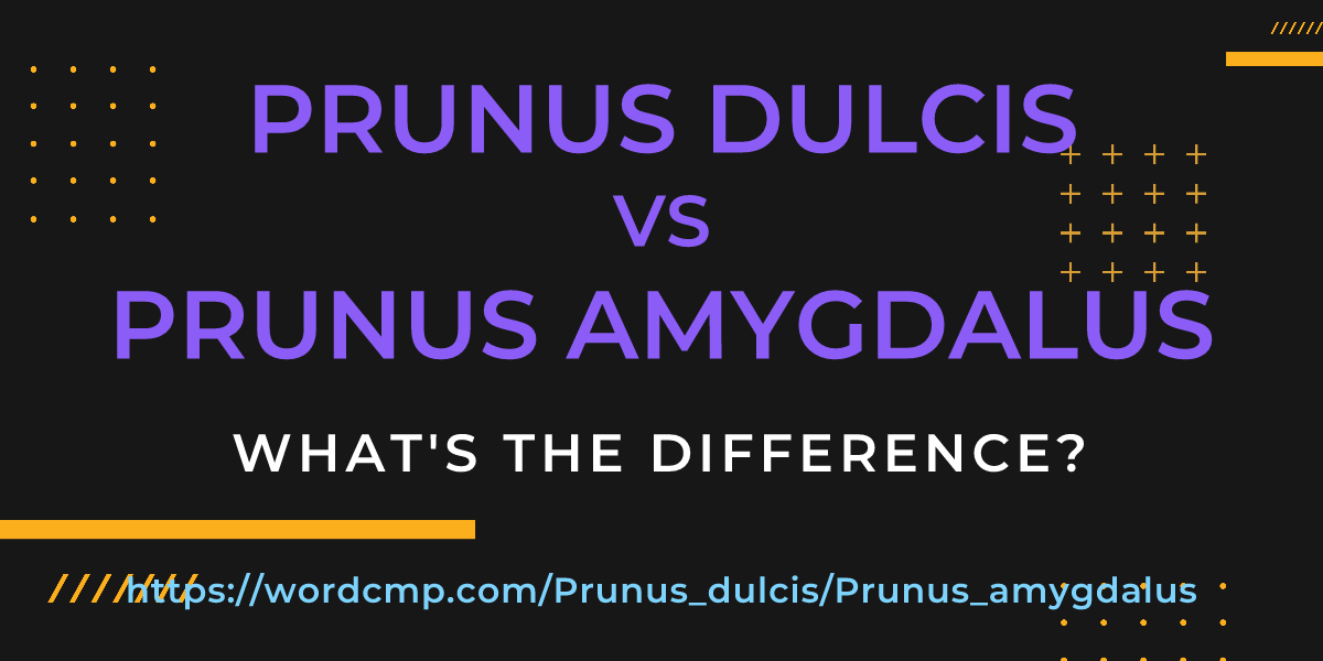Difference between Prunus dulcis and Prunus amygdalus