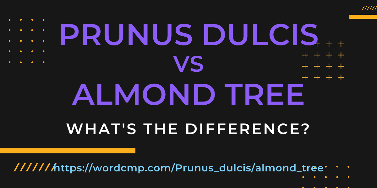 Difference between Prunus dulcis and almond tree