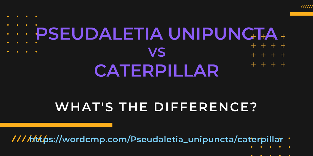 Difference between Pseudaletia unipuncta and caterpillar