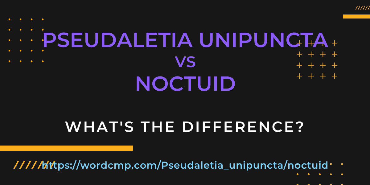 Difference between Pseudaletia unipuncta and noctuid
