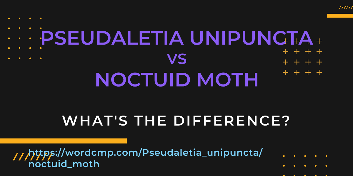 Difference between Pseudaletia unipuncta and noctuid moth