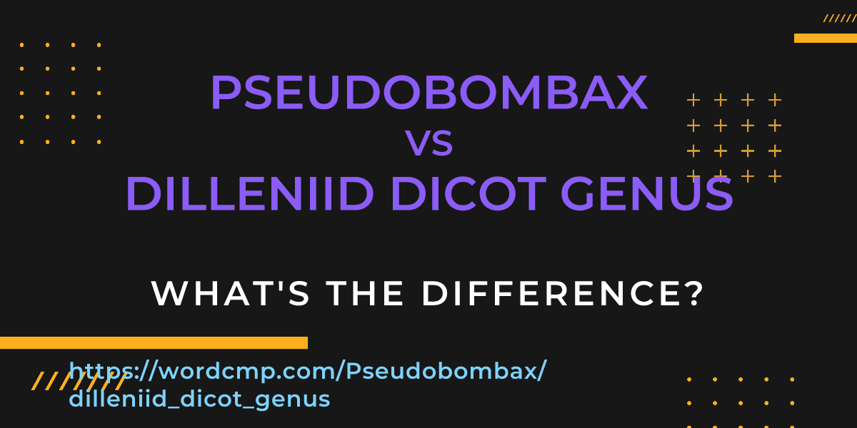 Difference between Pseudobombax and dilleniid dicot genus