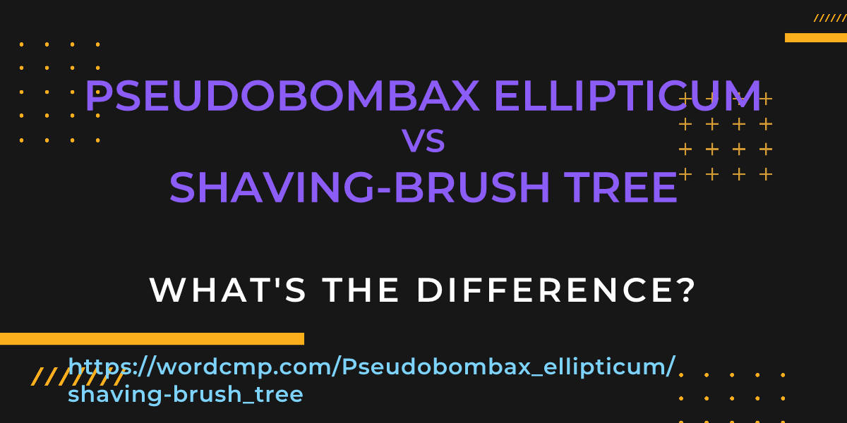 Difference between Pseudobombax ellipticum and shaving-brush tree