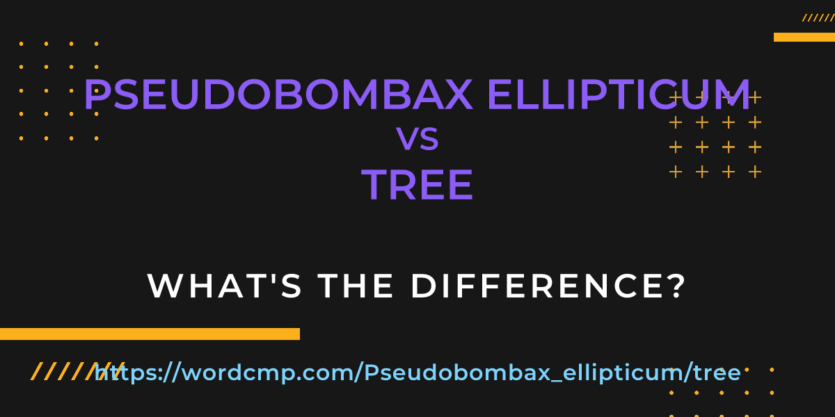 Difference between Pseudobombax ellipticum and tree