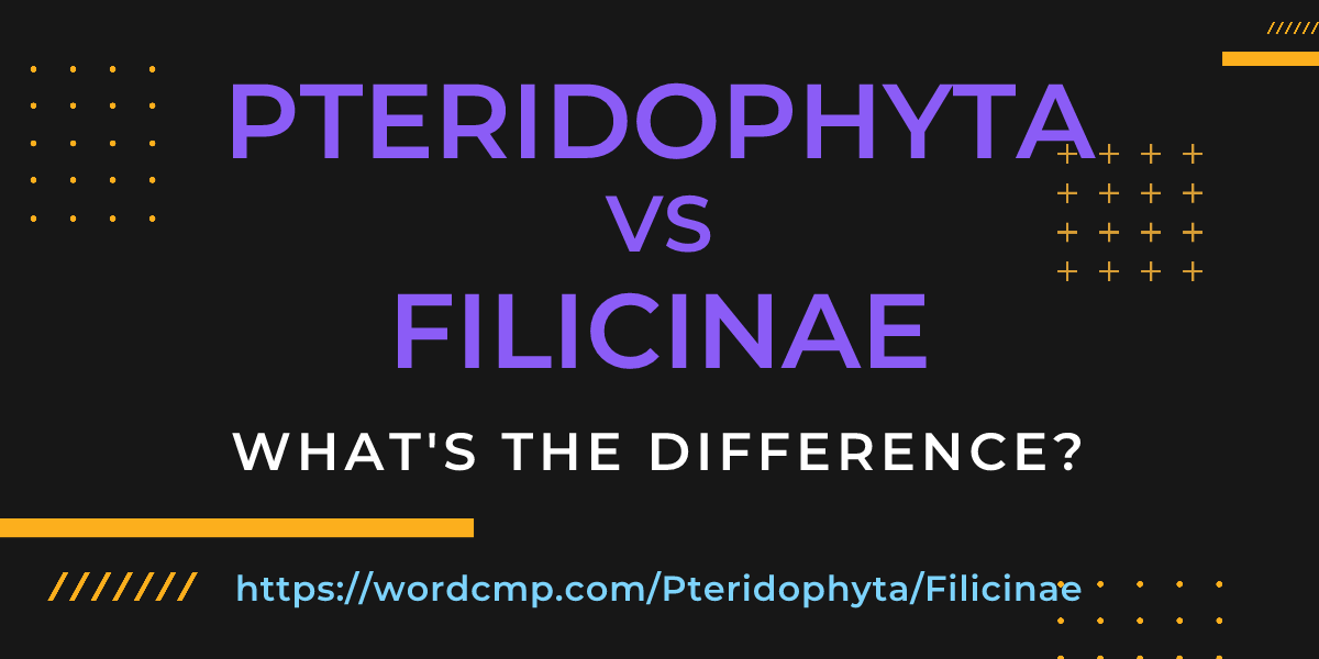Difference between Pteridophyta and Filicinae