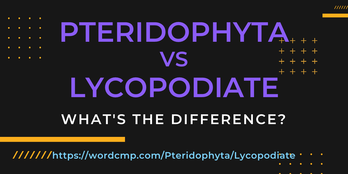 Difference between Pteridophyta and Lycopodiate