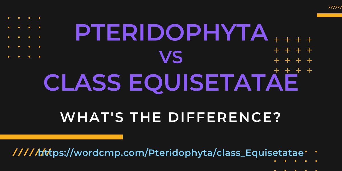 Difference between Pteridophyta and class Equisetatae