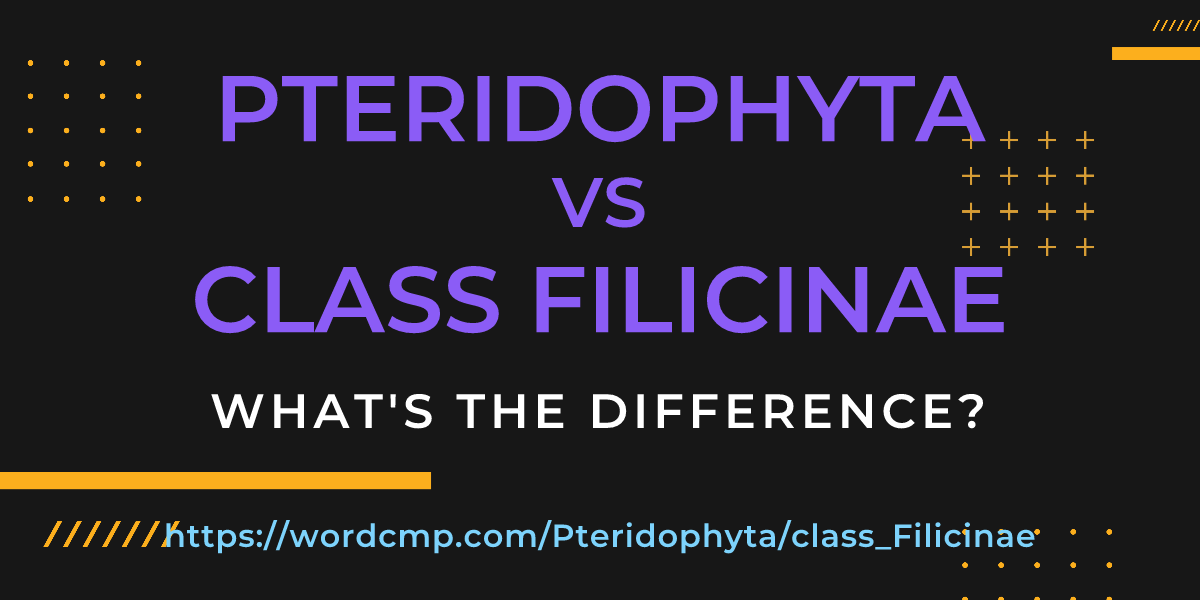 Difference between Pteridophyta and class Filicinae
