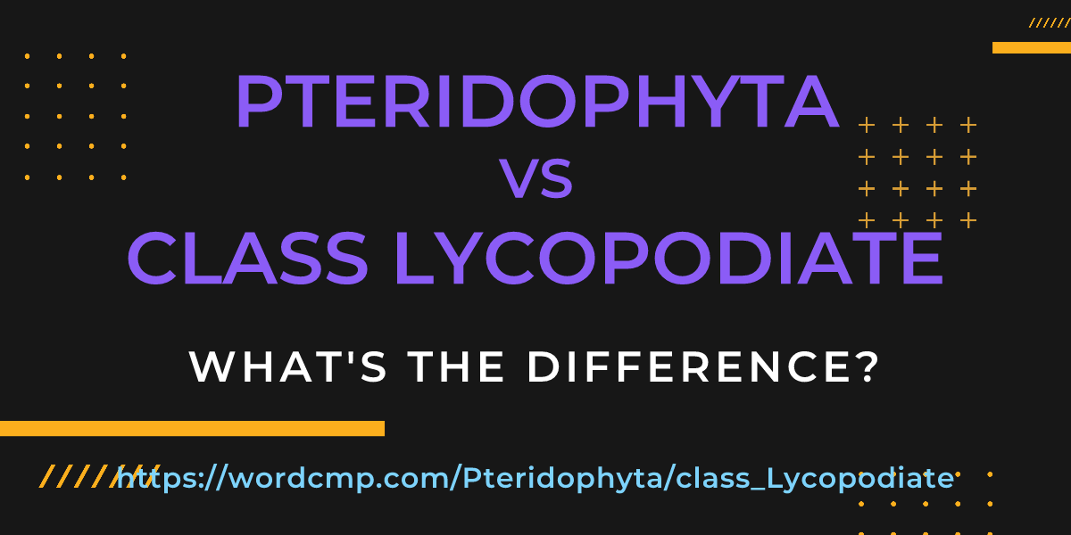 Difference between Pteridophyta and class Lycopodiate