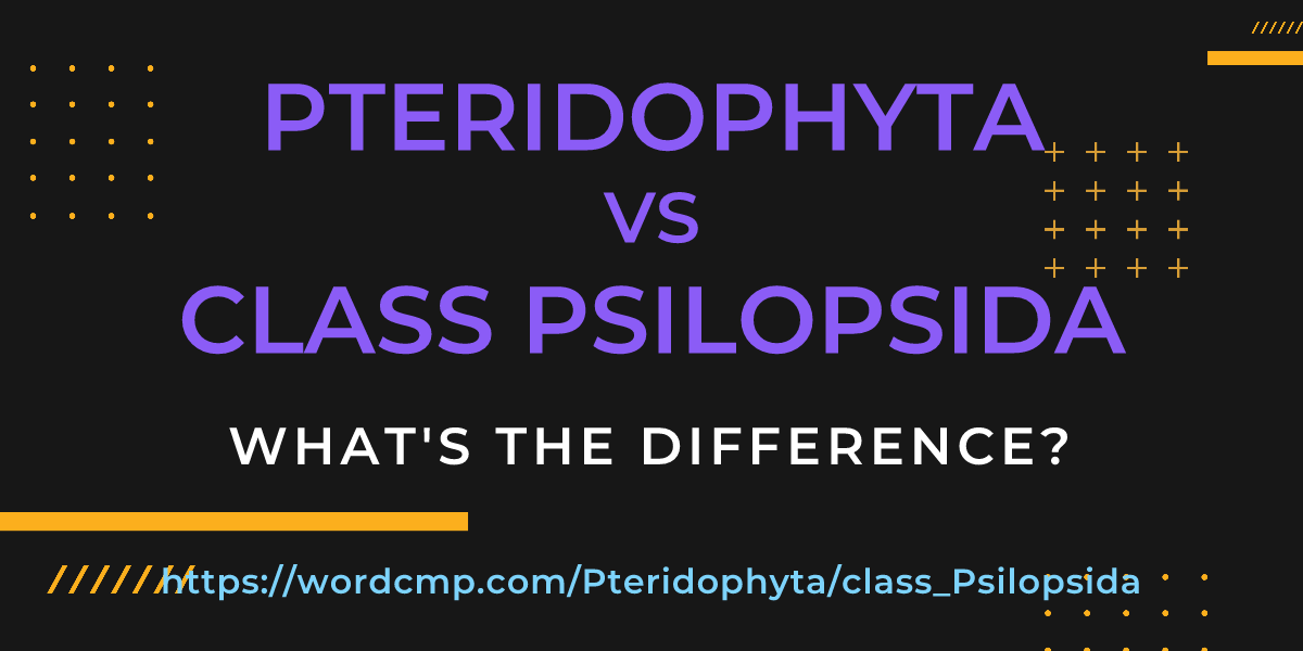 Difference between Pteridophyta and class Psilopsida