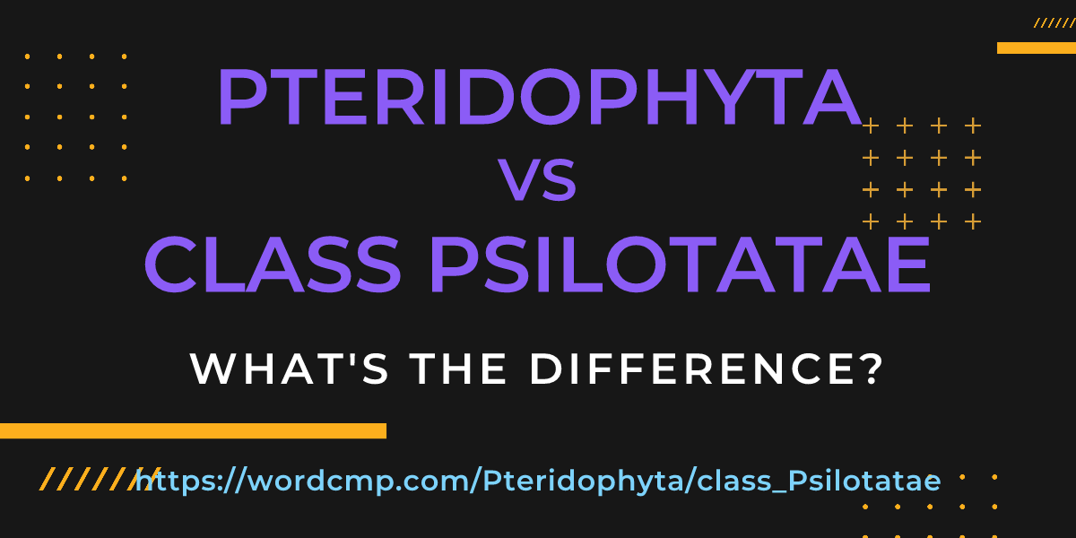 Difference between Pteridophyta and class Psilotatae