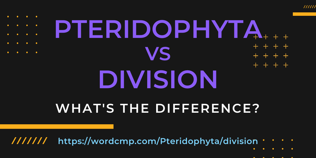 Difference between Pteridophyta and division