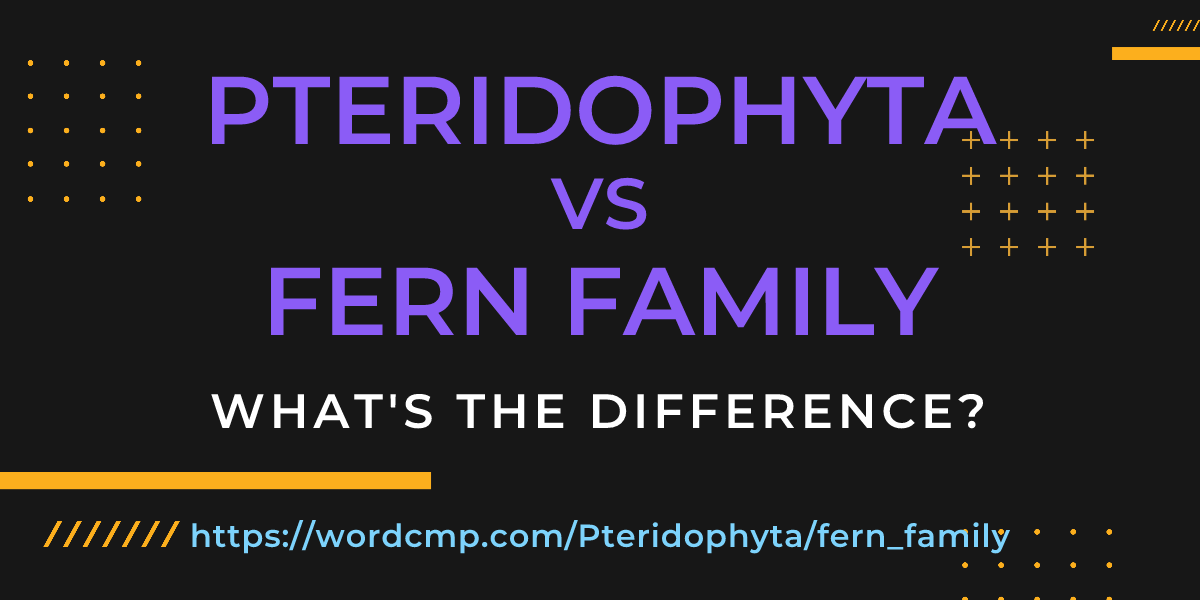 Difference between Pteridophyta and fern family