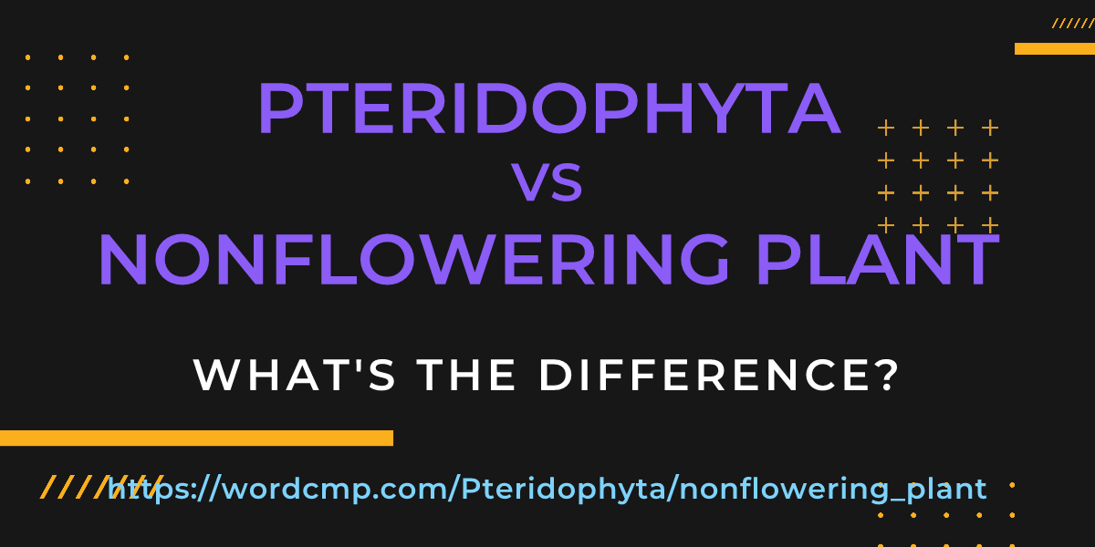 Difference between Pteridophyta and nonflowering plant