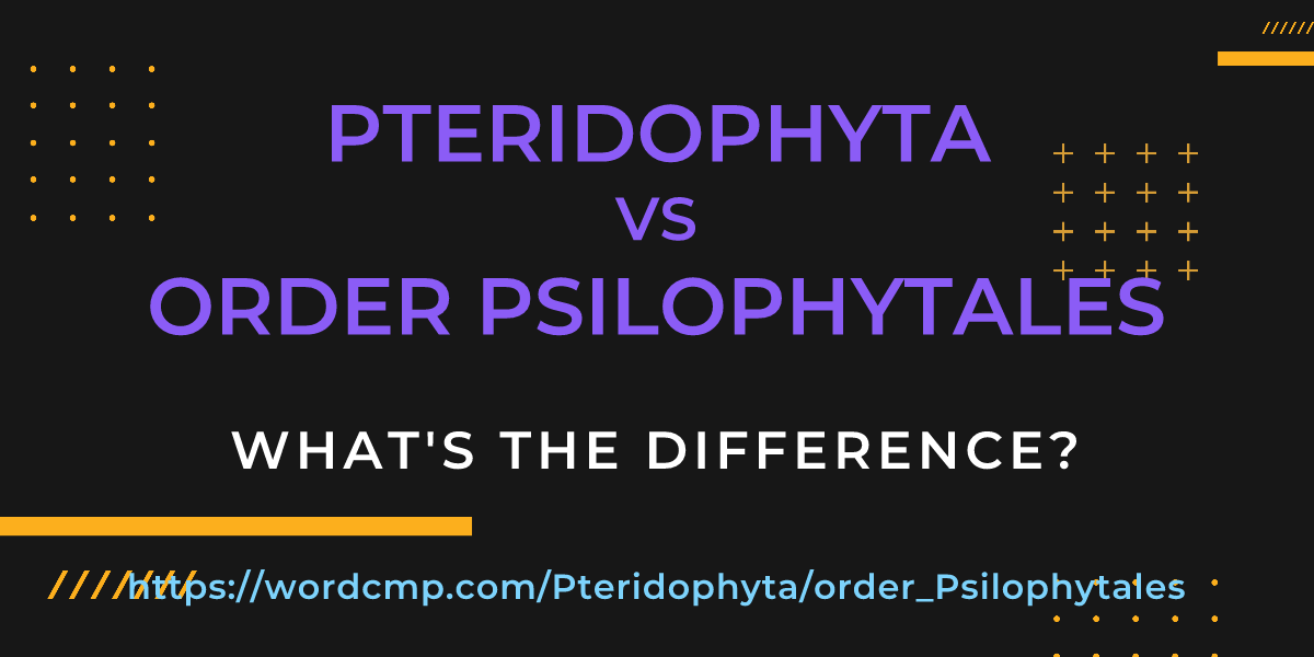 Difference between Pteridophyta and order Psilophytales