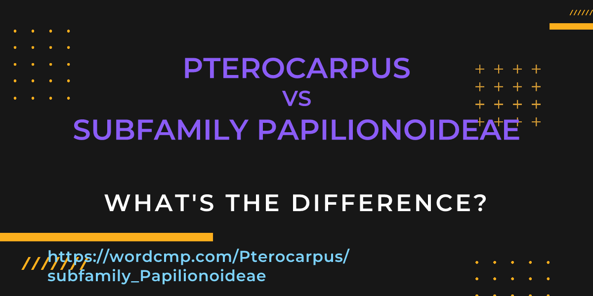Difference between Pterocarpus and subfamily Papilionoideae