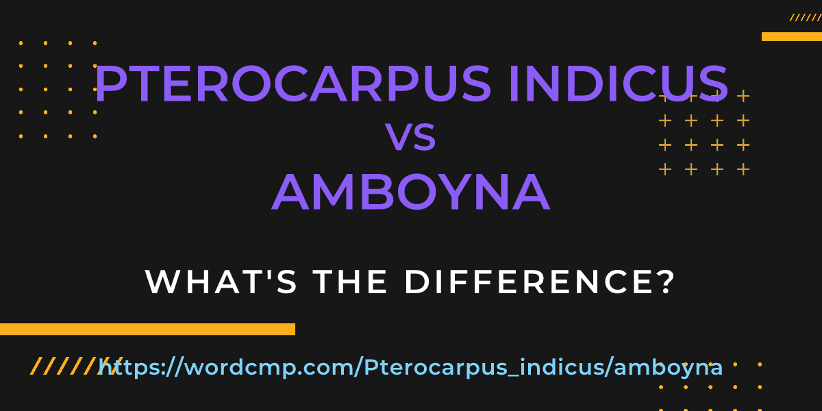 Difference between Pterocarpus indicus and amboyna