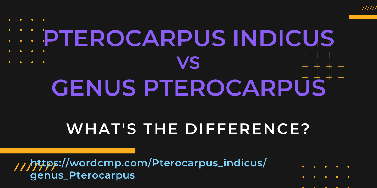 Difference between Pterocarpus indicus and genus Pterocarpus