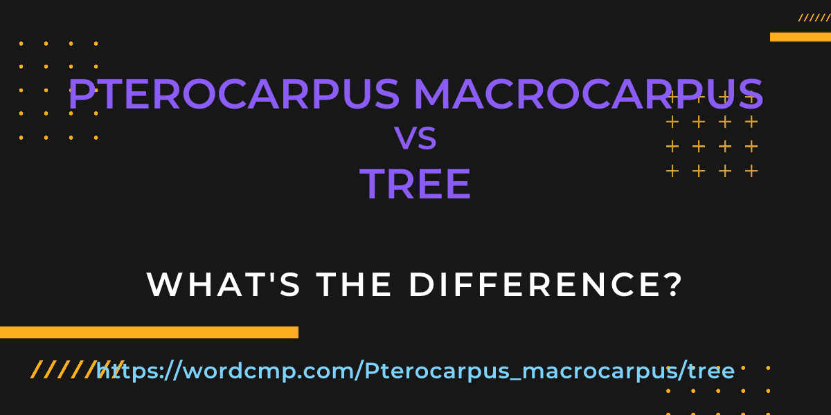 Difference between Pterocarpus macrocarpus and tree