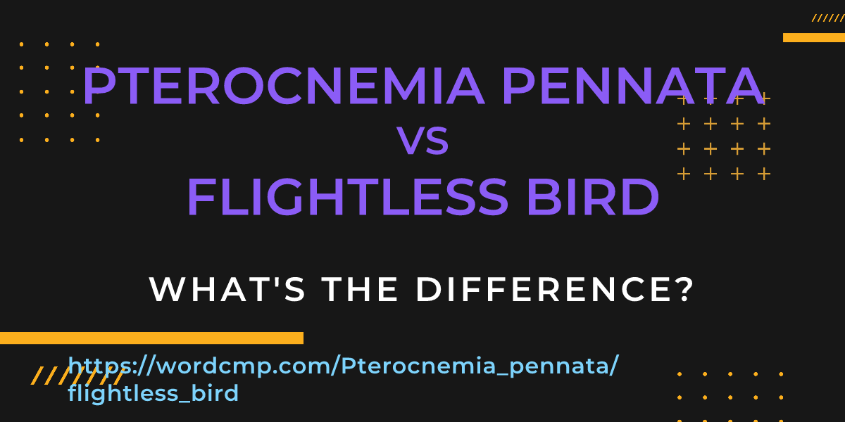 Difference between Pterocnemia pennata and flightless bird