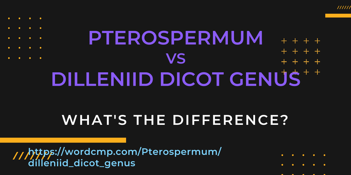 Difference between Pterospermum and dilleniid dicot genus