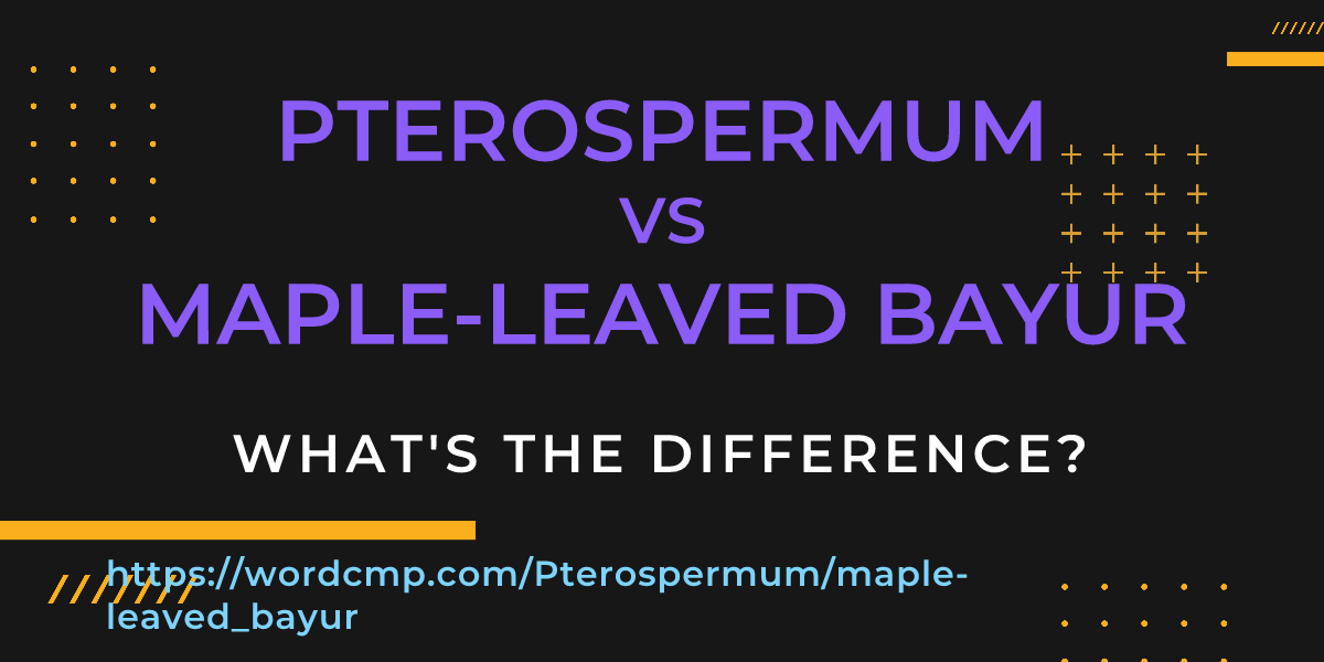 Difference between Pterospermum and maple-leaved bayur