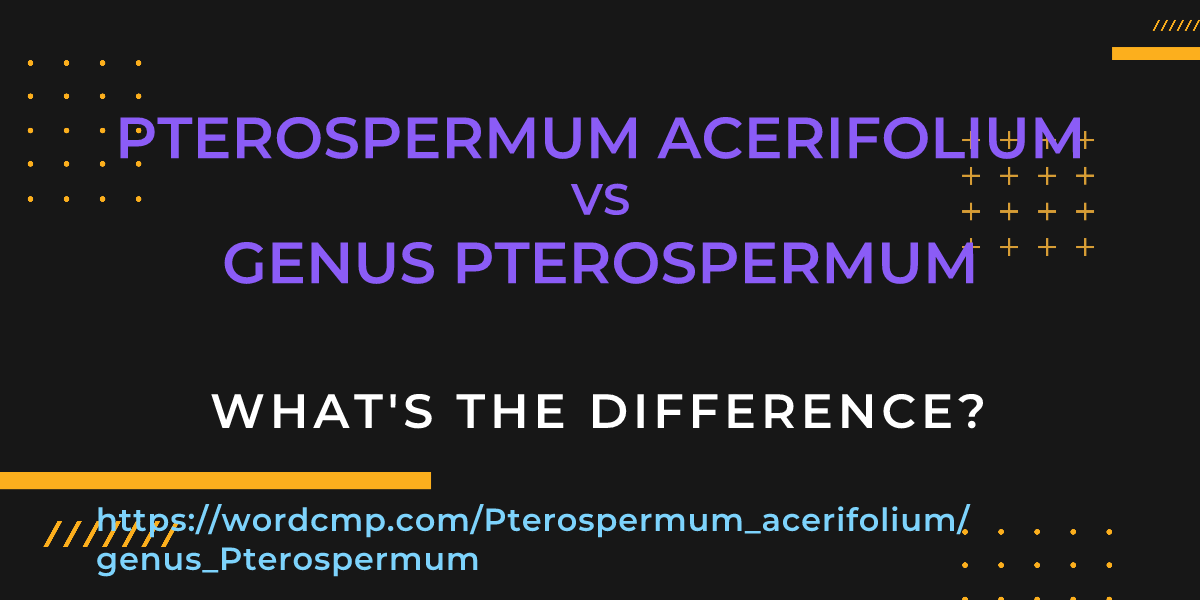 Difference between Pterospermum acerifolium and genus Pterospermum