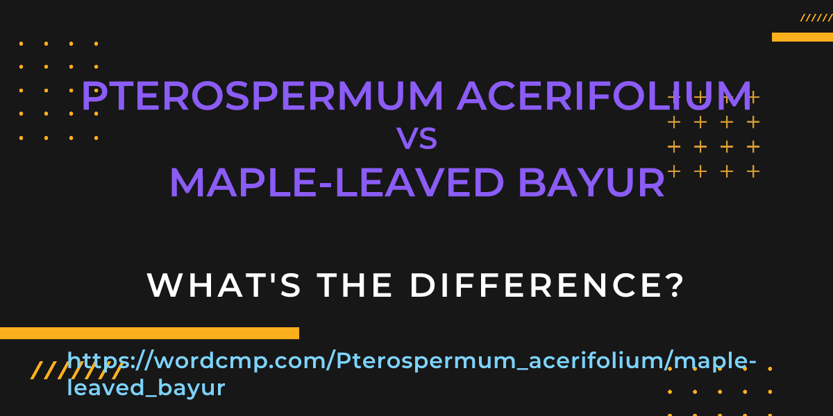 Difference between Pterospermum acerifolium and maple-leaved bayur