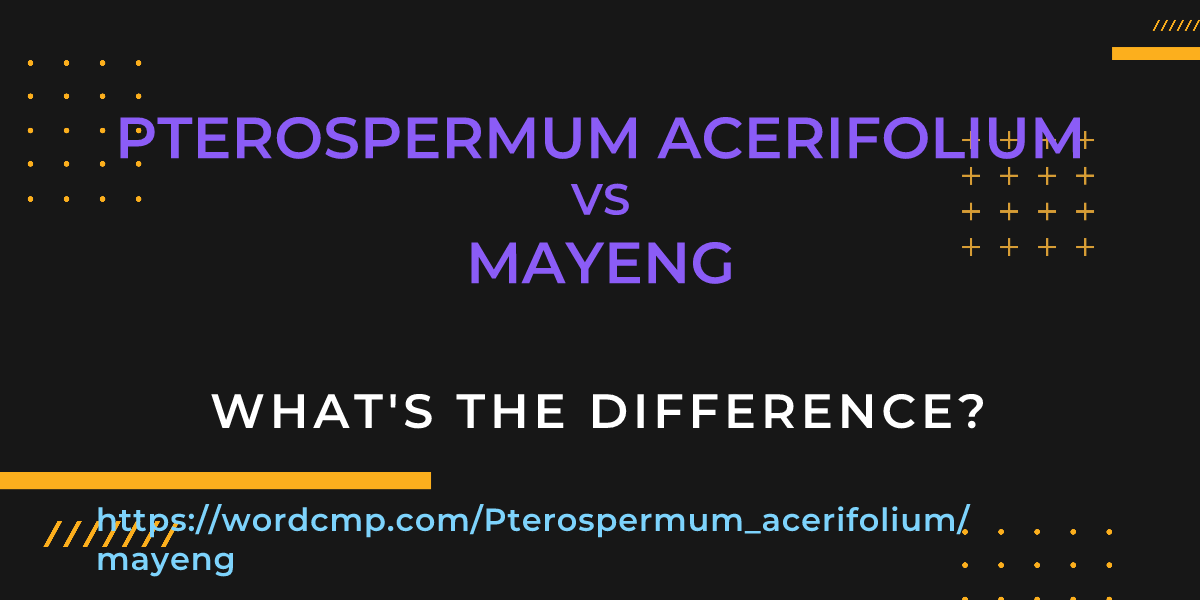 Difference between Pterospermum acerifolium and mayeng