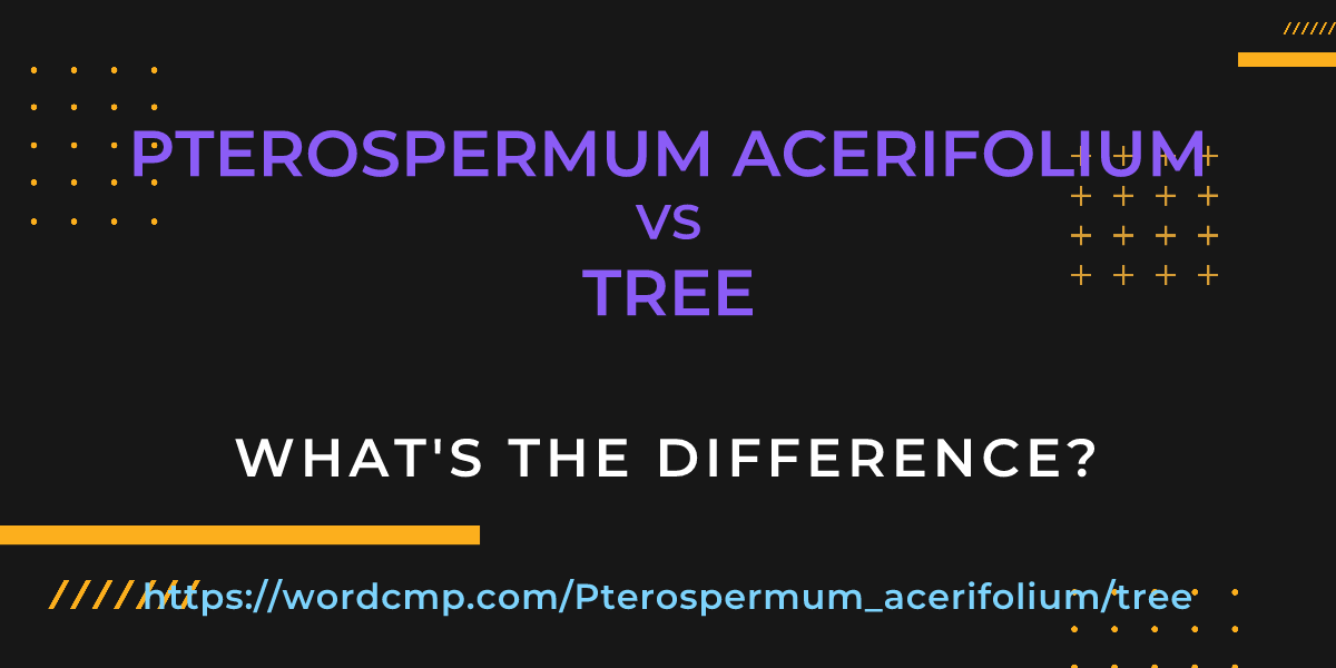 Difference between Pterospermum acerifolium and tree