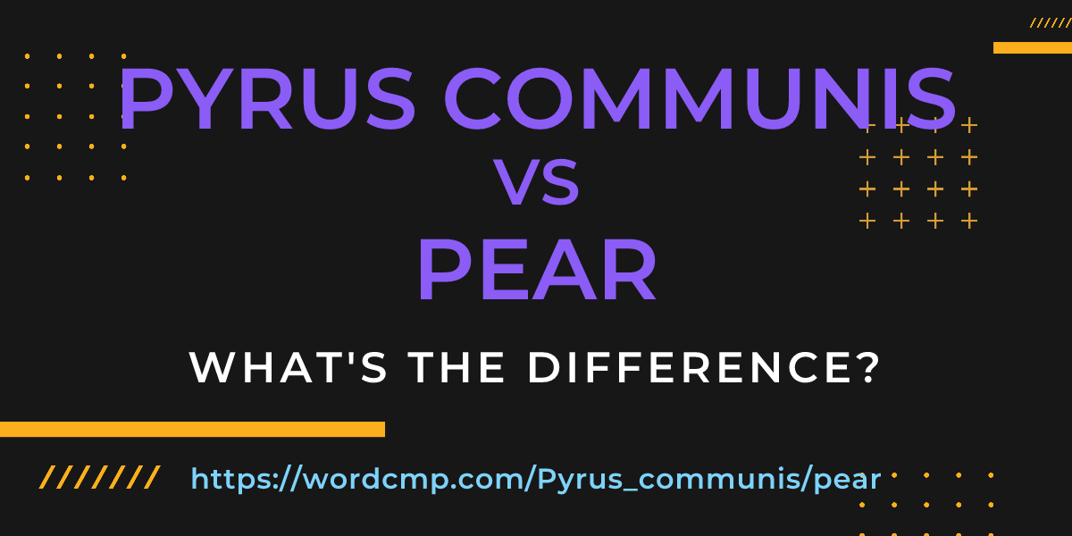 Difference between Pyrus communis and pear