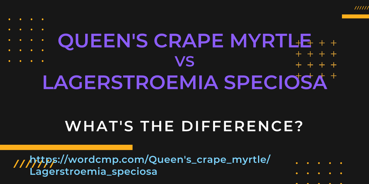 Difference between Queen's crape myrtle and Lagerstroemia speciosa