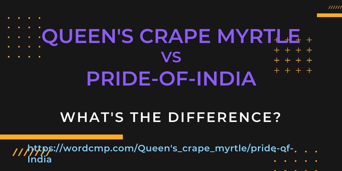 Difference between Queen's crape myrtle and pride-of-India