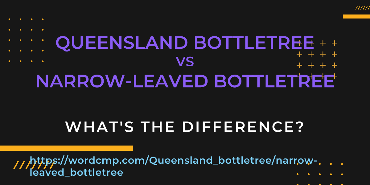 Difference between Queensland bottletree and narrow-leaved bottletree