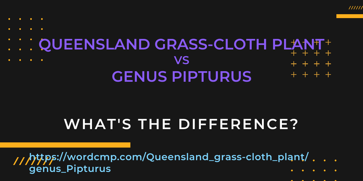 Difference between Queensland grass-cloth plant and genus Pipturus