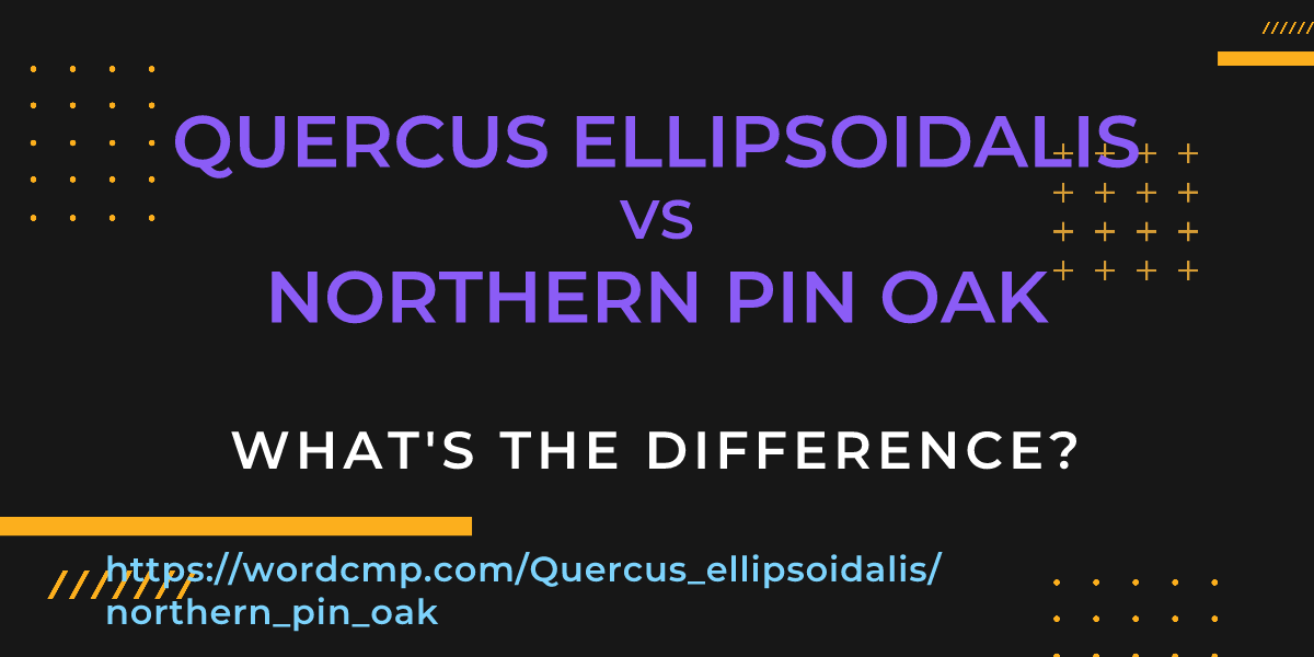 Difference between Quercus ellipsoidalis and northern pin oak
