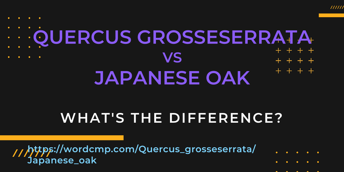 Difference between Quercus grosseserrata and Japanese oak