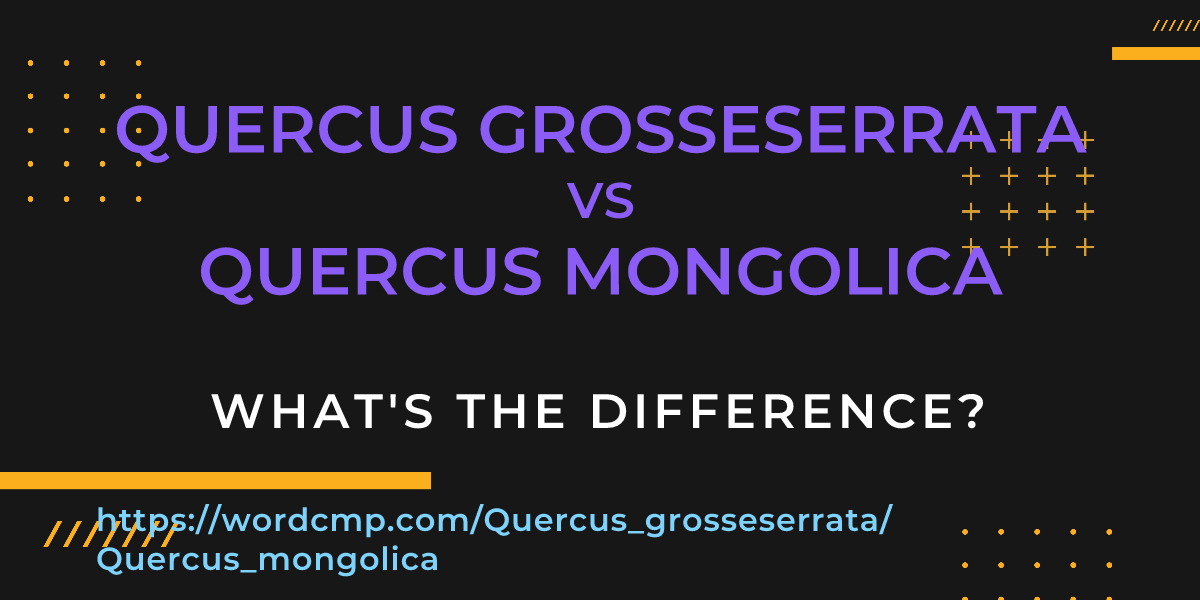Difference between Quercus grosseserrata and Quercus mongolica