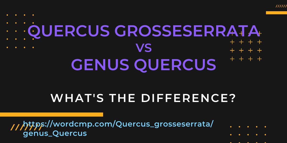 Difference between Quercus grosseserrata and genus Quercus