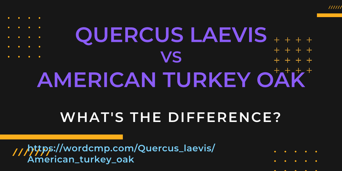 Difference between Quercus laevis and American turkey oak