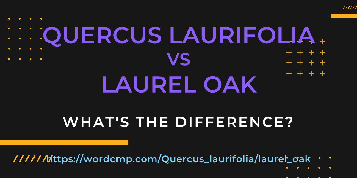 Difference between Quercus laurifolia and laurel oak