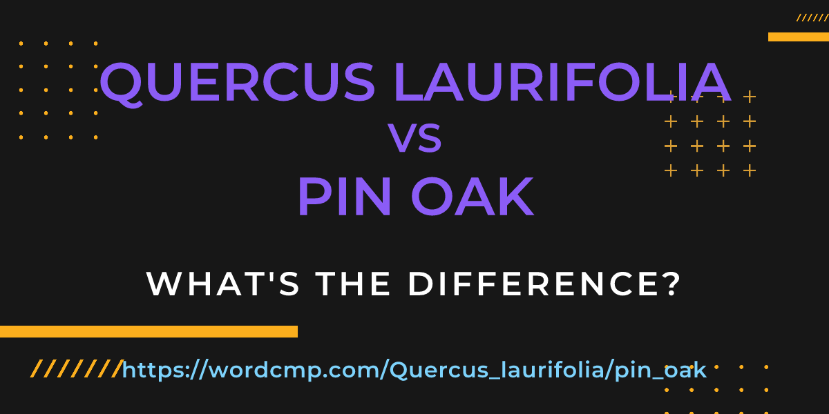 Difference between Quercus laurifolia and pin oak