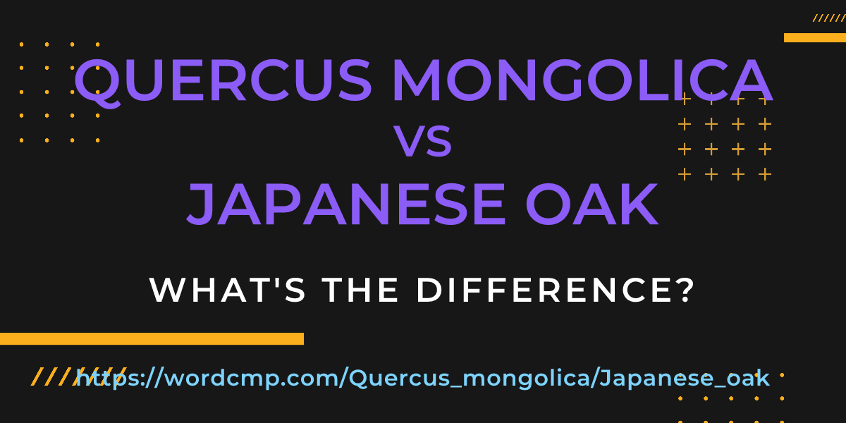 Difference between Quercus mongolica and Japanese oak