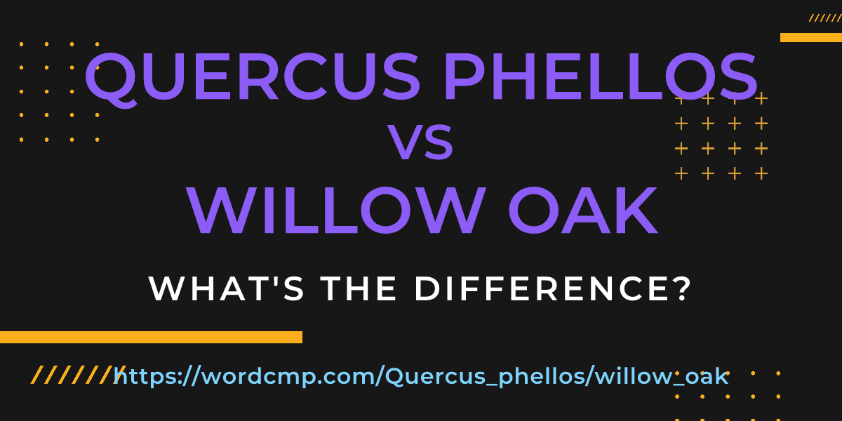 Difference between Quercus phellos and willow oak