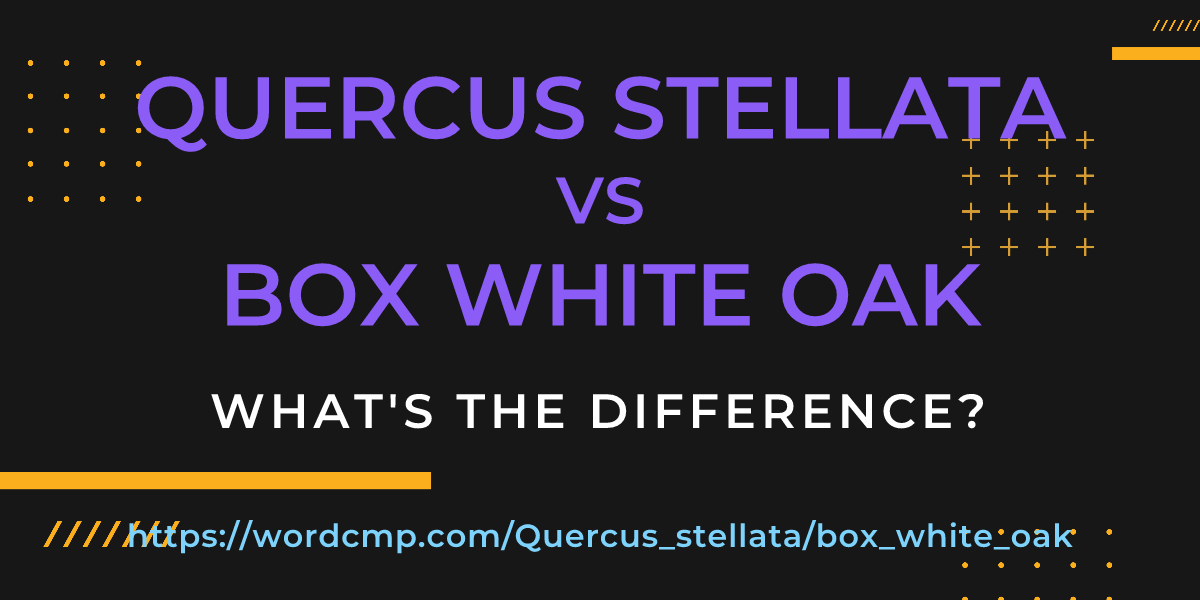 Difference between Quercus stellata and box white oak