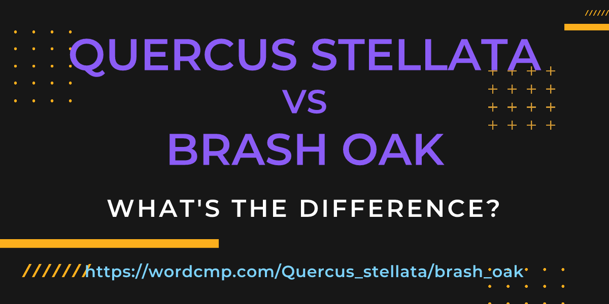 Difference between Quercus stellata and brash oak