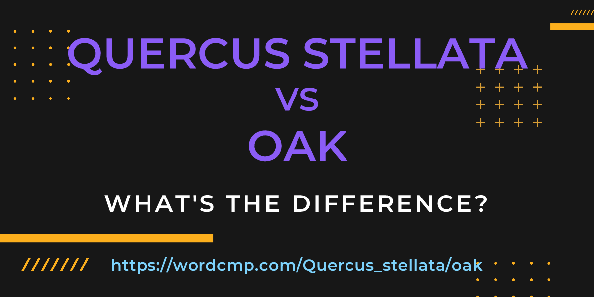 Difference between Quercus stellata and oak