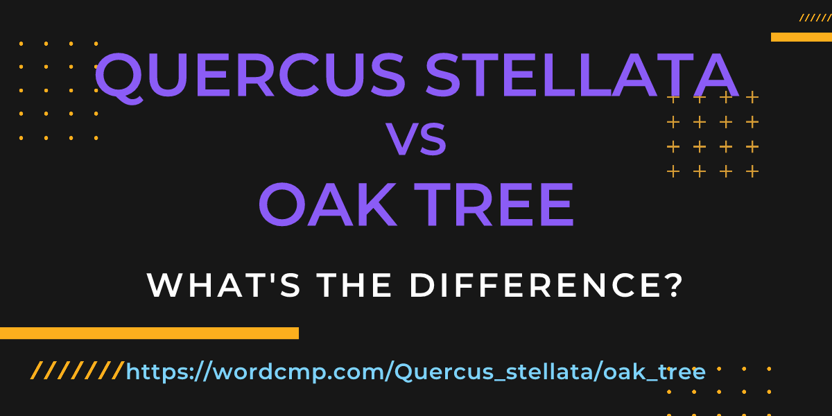Difference between Quercus stellata and oak tree